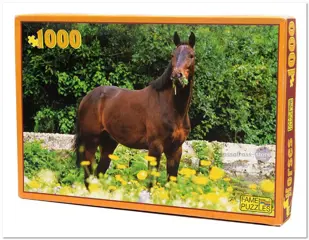 Look at me - Fame - 1000 Stukjes