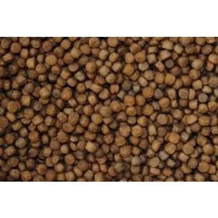 Goedkoop Koivoer kopen?