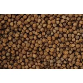 Goedkoop Koivoer kopen?