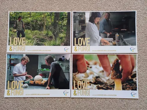 LOVE & FUNGI lobbycard set.
