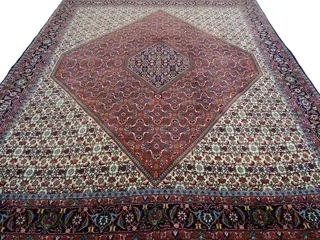 Bidjar Tekap Bukan - cleaned carpet - 300 cm - 248 cm