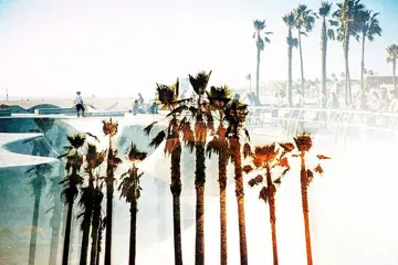 Nicolas Fontas (1980) - Venice