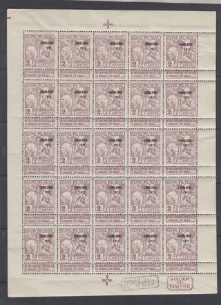 België 1911 - Caritas - OBP : 102 in velletje van 25