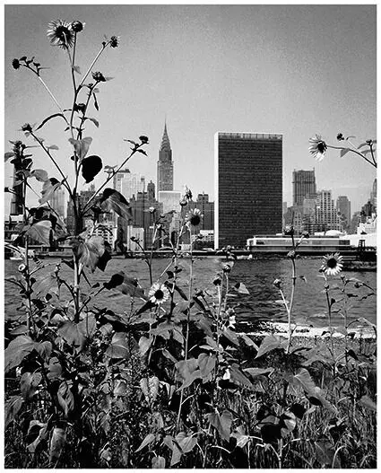 Kees Scherer (1920-1993) - Skyline with sunflowers - New