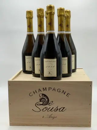2010 De Sousa, Extra Brut "Cuvée des Caudalies" - Champagne