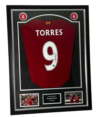 Liverpool - Europese voetbal competitie - Fernando Torres -