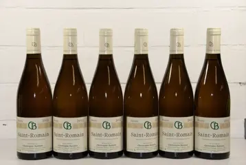 2012 Saint-Romain, Christophe Buisson - Bourgogne - 6