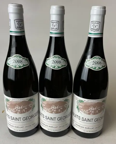 2008 Nuits Saint Georges (Blanc) - Charles Noellat - Bourgondië - 3 Fles (0,75 liter)