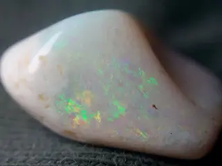 5,45 ct - Natuurlijk schelpfossiel opaal - Gepolijste -