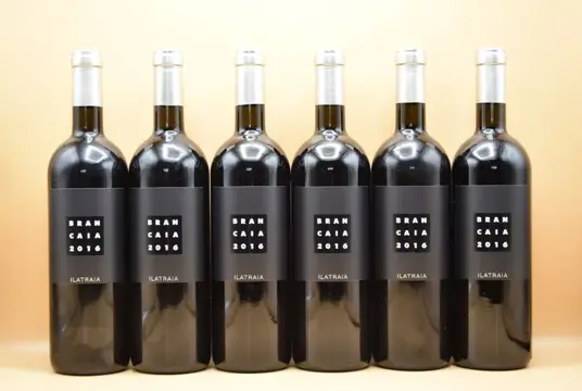 2016 Brancaia, Ilatraia - Super Tuscans - 6 Flessen (0.75