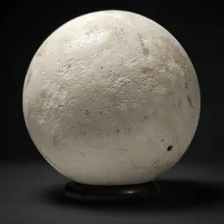 Fossiele koraalbol - gemonteerd op persoonlijke metalen