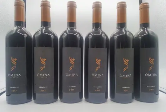 2017 Omina Romana Cesanese - Latium - 6 Flessen (0.75 liter)