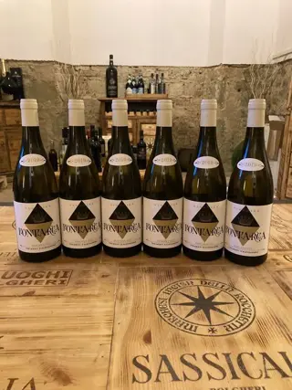 2019 Tenimenti D’Alessandro, Viognier Fontarca - Toscane -