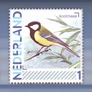 Koolmees (januari-2011)