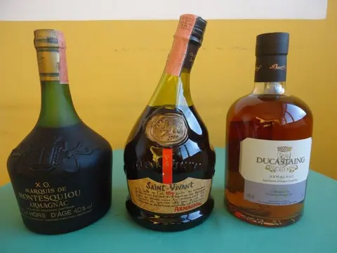 Ducastaing, Marquis de Montesquiou, Saint-Vivant - VS