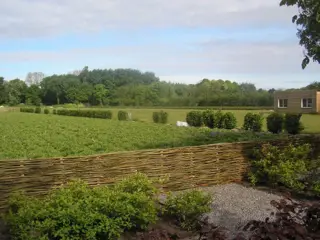 Milieu vriendelijke Wilgentenenschutting wilgenschutting