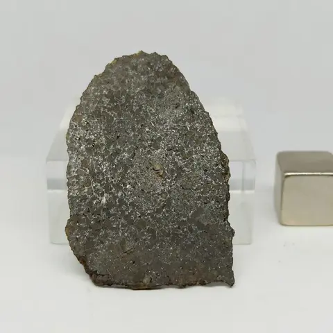 Nieuw!!! UREILITE NWA 14853 -Primitive Achondrite- (Met