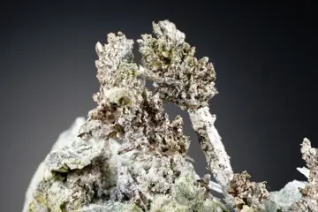 INHEEMS ZILVER met ALLARGENTUM en CALCITE - pseudomorphos