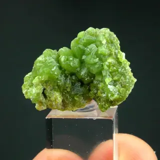 Pyromorfiet - Asprières, Aveyron, Frankrijk - 2.6×1.9×1 cm