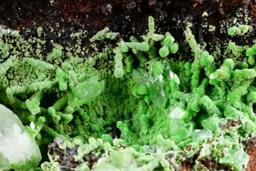 CONICHALCITE botryoidale groene bolletjes op matrix met