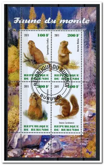 CINDERELLA: Knaagdieren / Rodents - Burundi - 2011