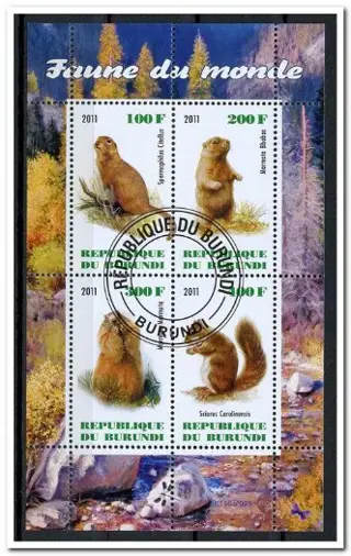 CINDERELLA: Knaagdieren / Rodents - Burundi - 2011