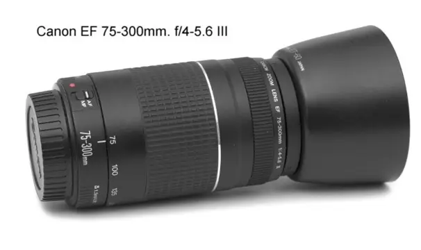 Canon EF 75-300mm f/4-5.6 III Lens