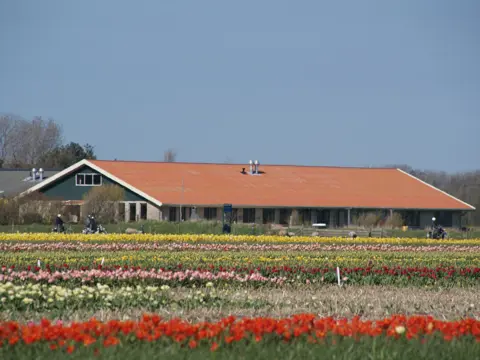 Rustig gelegen groepsverblijf nabij Den Hoorn leuk voor kinderen