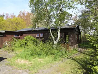 Charmant huisje met veel privacy en ruimte tegen duingebied