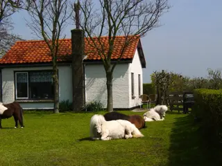 Vakantiehuis met omheinde tuin aan de rand van Nationaal Park