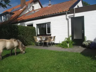Ontspannen in knus vakantiehuisje tussen Texelse weiden