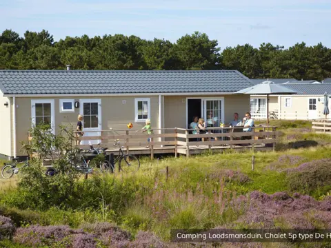 Luxe chalet met unieke ligging in de duinen vlakbij Den Hoorn