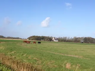 Kamer aan de rustige Waddenzee kant van Texel met uniek uitzicht
