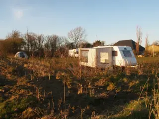 Genieten op een kleinschalige boerencamping bij de Waddendijk