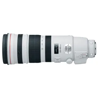 Canon EF 200-400mm f/4.0L IS USM Extender 1.4x
