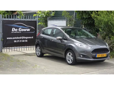 Ford Fiesta 1.0 Style Ultimate 5 Deurs, Trekhaak, Airco
