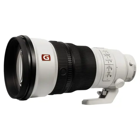 Sony FE 300mm f/2.8 GM OSS + FE 1.4x Teleconverter