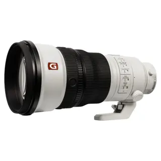 Sony FE 300mm f/2.8 GM OSS + FE 2.0x Teleconverter