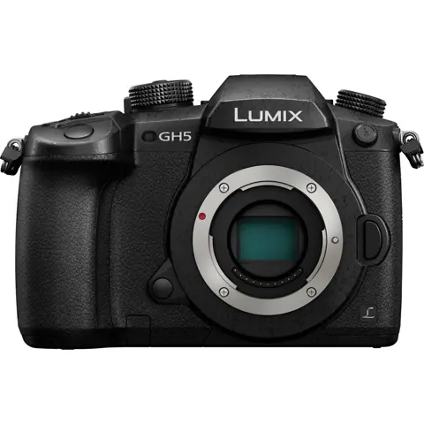 Panasonic DC-GH5 II + Leica 12-35mm f/2.8