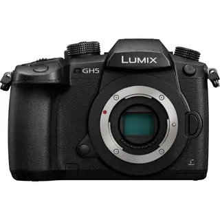 Panasonic DC-GH5 II + Leica 12-35mm f/2.8