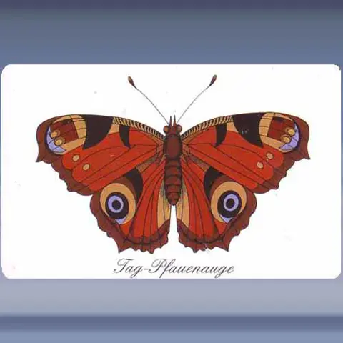 Tag-Pfauenauge (1998)