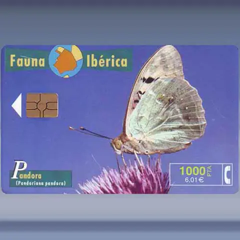 Vlinder (1999)