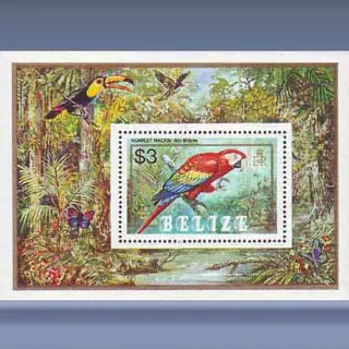 Papagaai (1984)