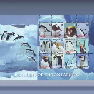 Pingu&iuml;ns (2008)