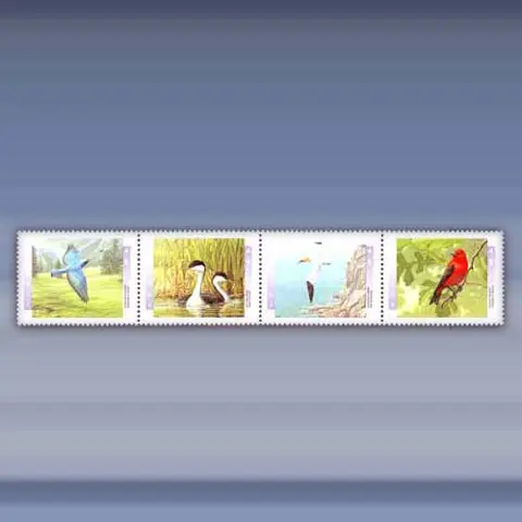 Vogels (1997)