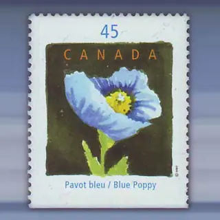 Bloem (1997)