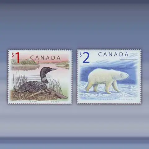 Definitives, dieren (1998)