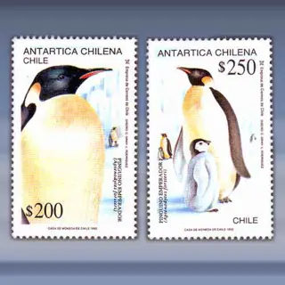 Pinguins (1992)