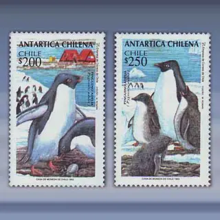 Pinguins (1993)