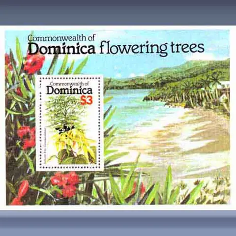 Flowering trees (1979)